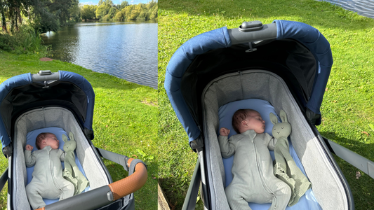 Newborn baby sleeping in pram by a lake, holding a organic cotton bunny comforter